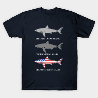 Gulf Of America T-Shirts for Sale TeePublic